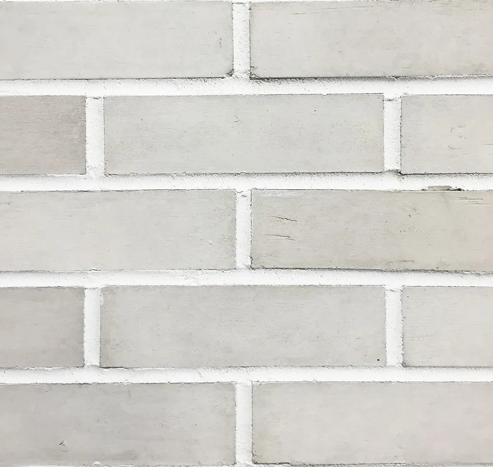 Briquette-Albinos_L300-8