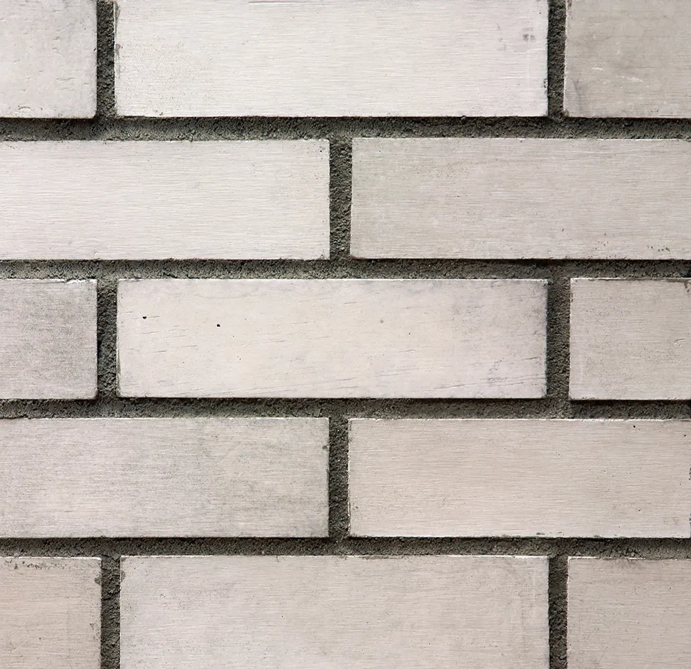 Briquette-Albinos_L300-9