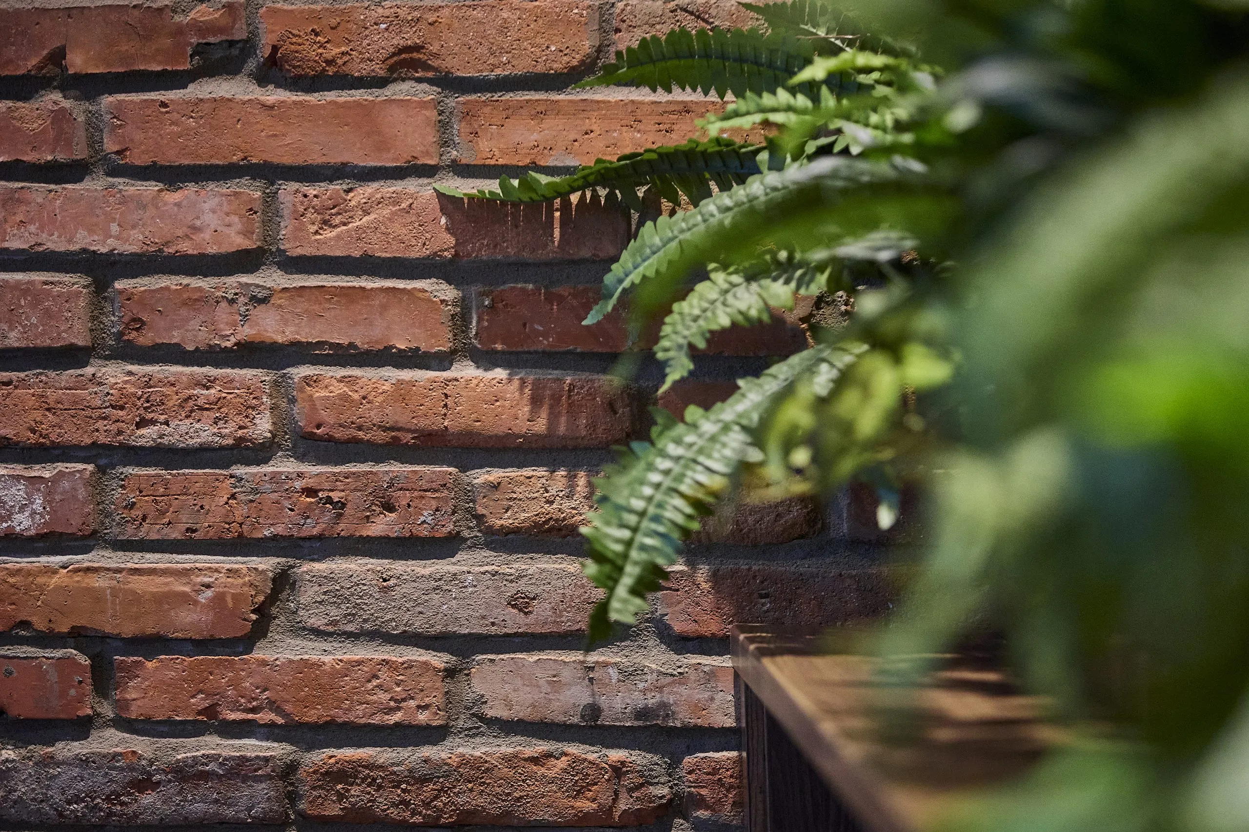 briquette-Old-Bank-Restaurant_L289-3-44-scaled
